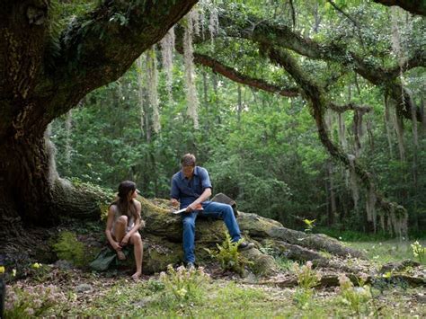 Where the Crawdads Sing: Un Misterio Atmosférico en las Marismas del Sur Profundo!